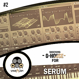 Vandalism厂牌G-House风格Serum预设包 2 | Shocking G-House For Serum 2