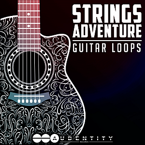 多风格吉他音色采样包”Strings Adventure”|Audientity Records厂牌特邀吉他大师MaxMeurs联合出品