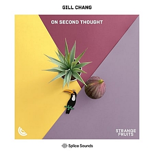 Future Bass风格大师级综合音色采样包”On Second Thought”|Splice Sounds厂牌携手知名制作人Gill Chang联合出品